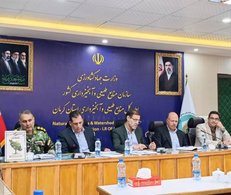 ۹۳ درصد اراضی شمال استان کرمان ملی است