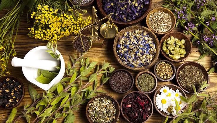 گزارش: گیاهان دارویی کرمان؛ از کمآبی تا بازار جهانی