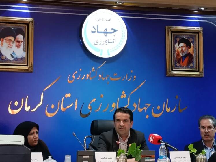 از خرید ۱۷۰ هزار تن گندم تا نگرانی از سرخرطومی حنایی